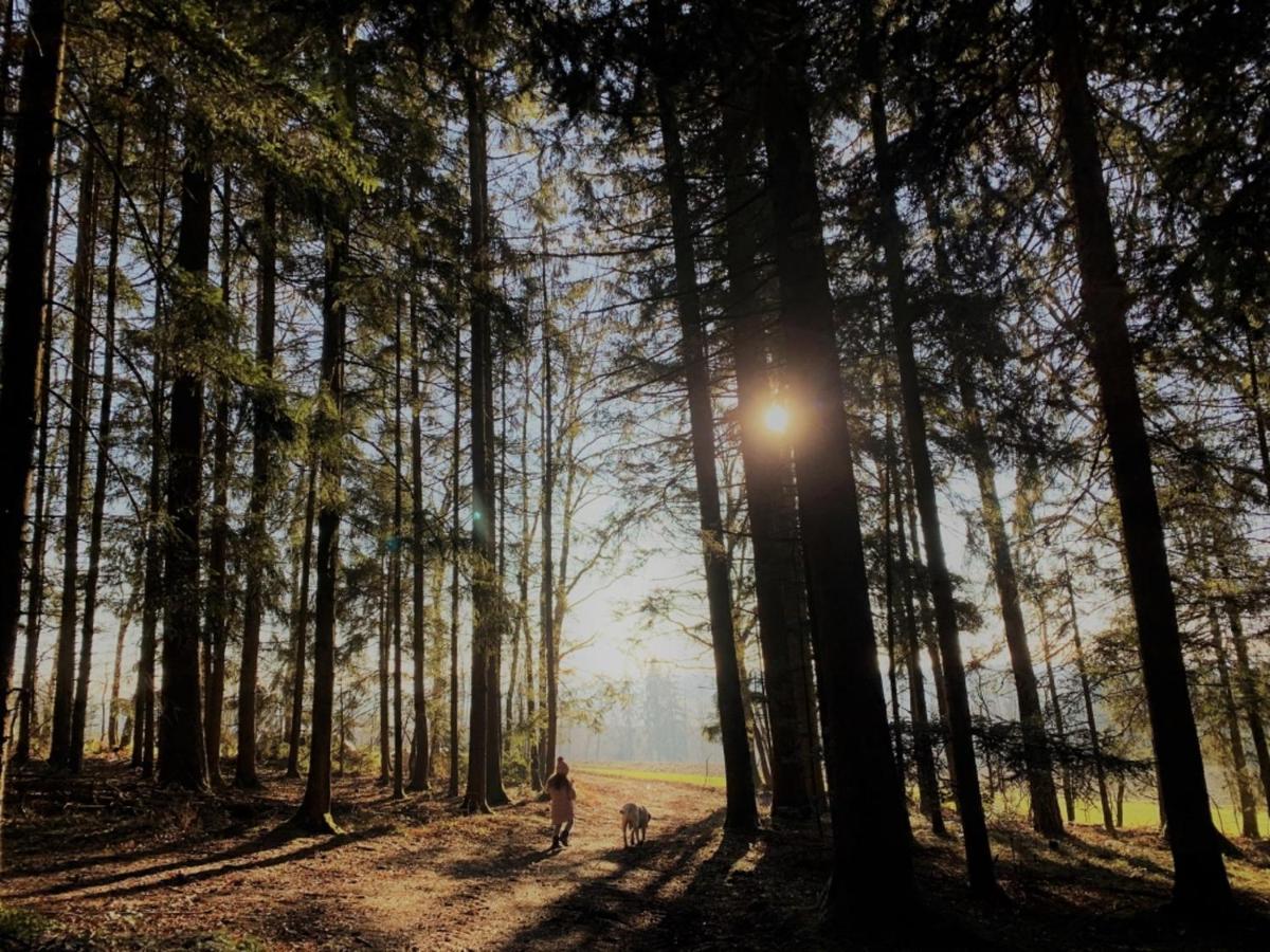 Feriendorf Buechelberg Windorf  Экстерьер фото